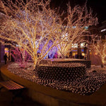 YOUXIU Electric lights for Christmas Tree Party Wedding Yard Garden Outdoor Indoor Decorations 100FT